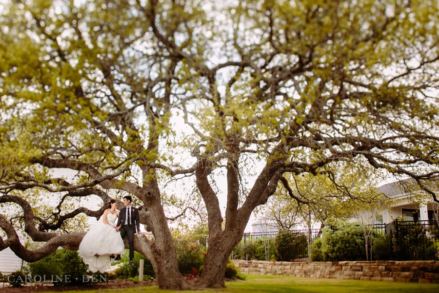 bride and groom in Oak Tree at Antebellum Oaks