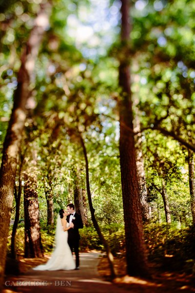bride and groom with trees