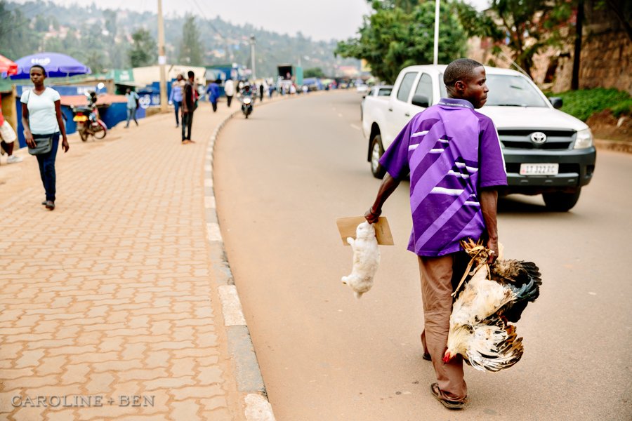 chicken and rabbit on the streets of rwanda