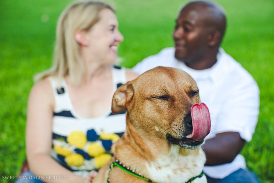 austin engagement session with dog