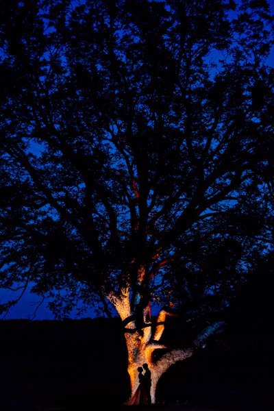 bride and groom silhouette with tree at twilight
