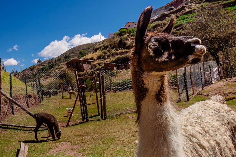 cusco-peru-travel-photography-blog-2410