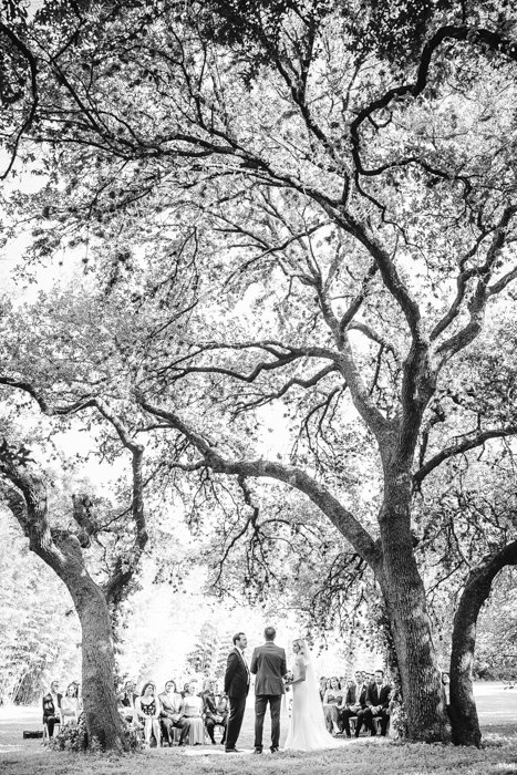 wedding ceremony under texas trees