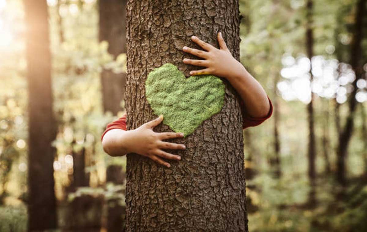 Is Forest Bathing About Hugging Trees? — An Darach Forest Therapy