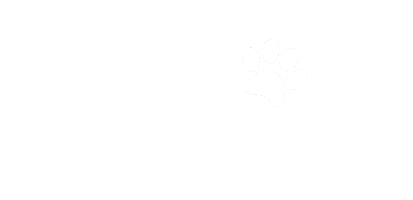 Puppy Yoga Near Me UK | Dog Yoga | Pets Yoga | Puppy Pose Yoga