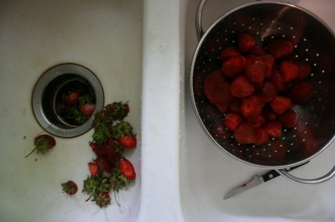 Strawberries_002_1_1