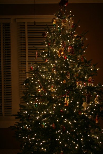 Christmas_trees_001_1_1