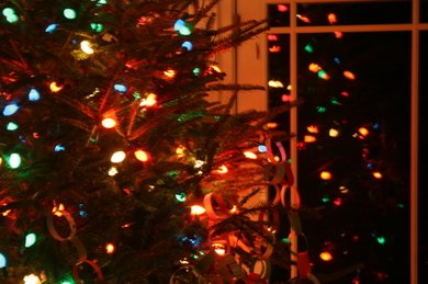 Christmas_tree_005_1_1