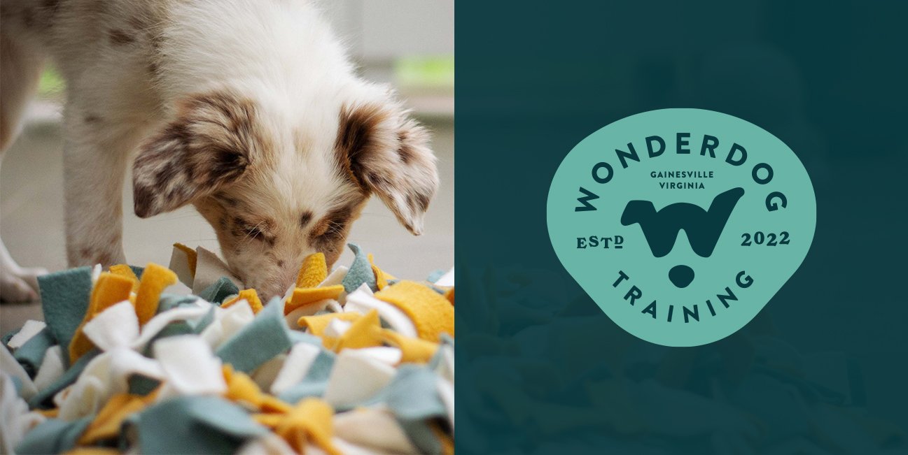 Canine Enrichment 101 — Wonderdog Training, LLC