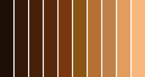 Shades-of-Brown-620x330-e1456429772987