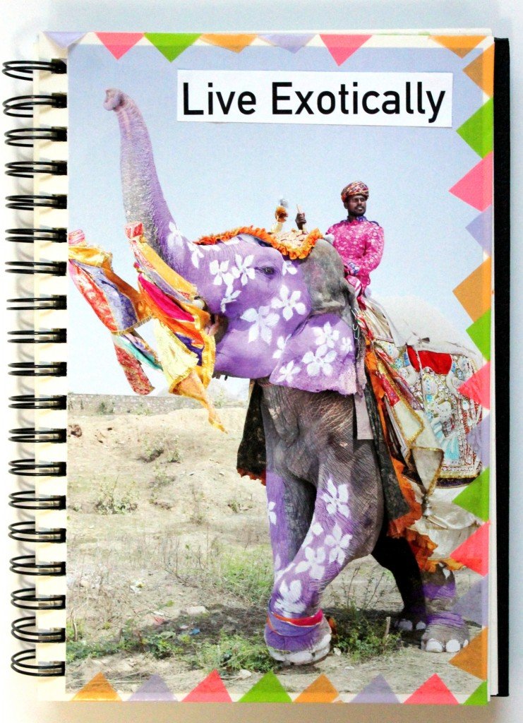 Live exotically by Lauren Likes