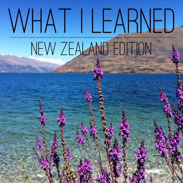 What I Learned In New Zealand