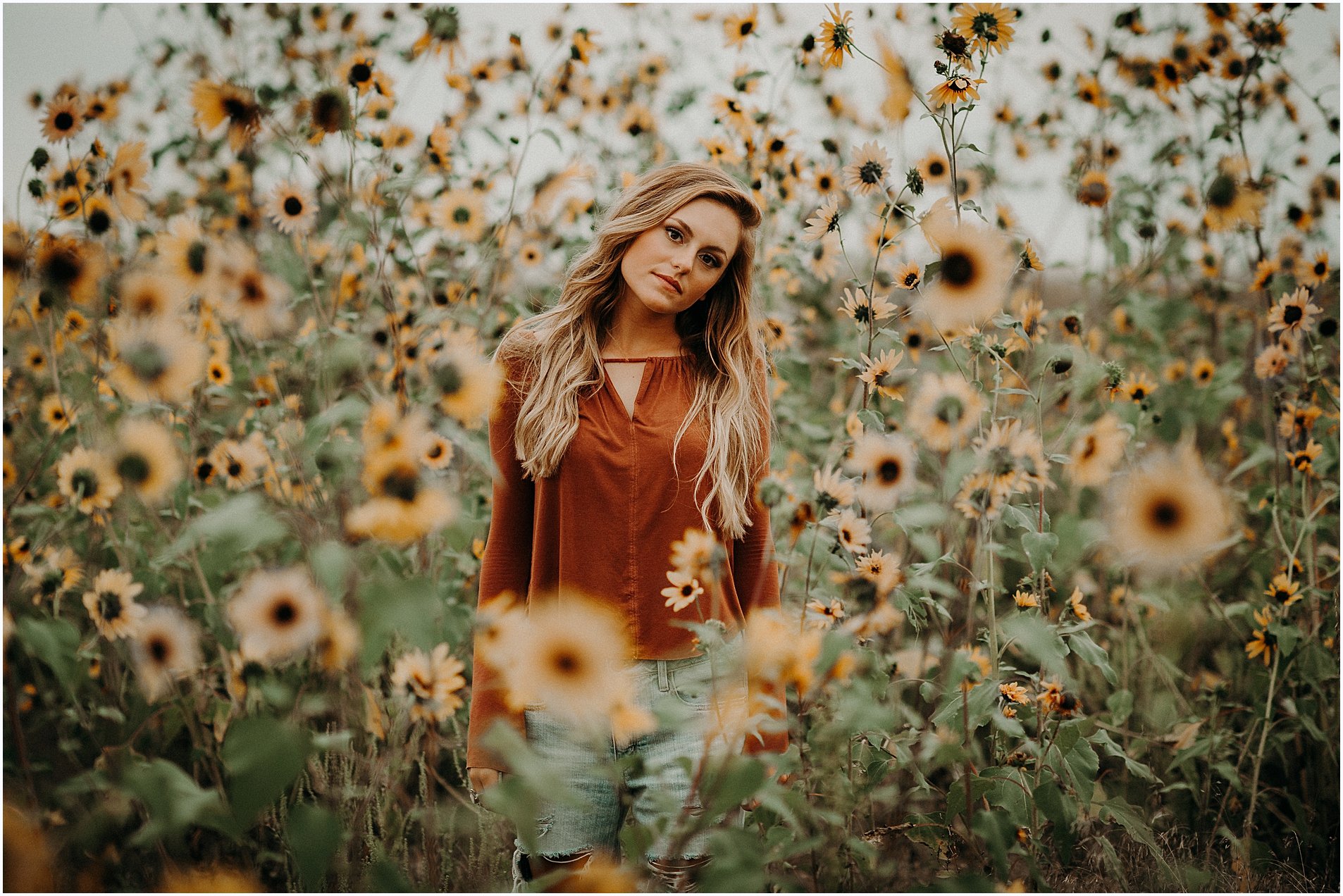 Nebraska Senior Portraits in sunflower field