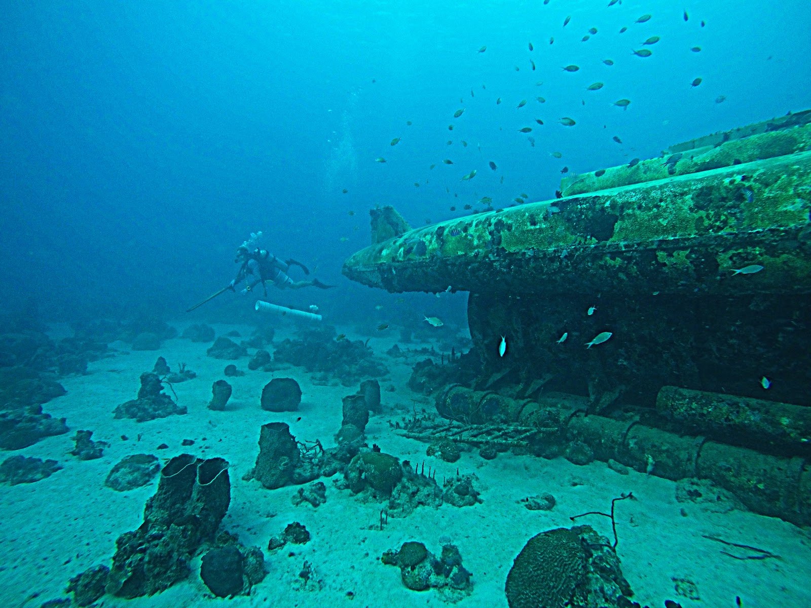 Scuba Diving next to a sunken Submarine in Barbados
