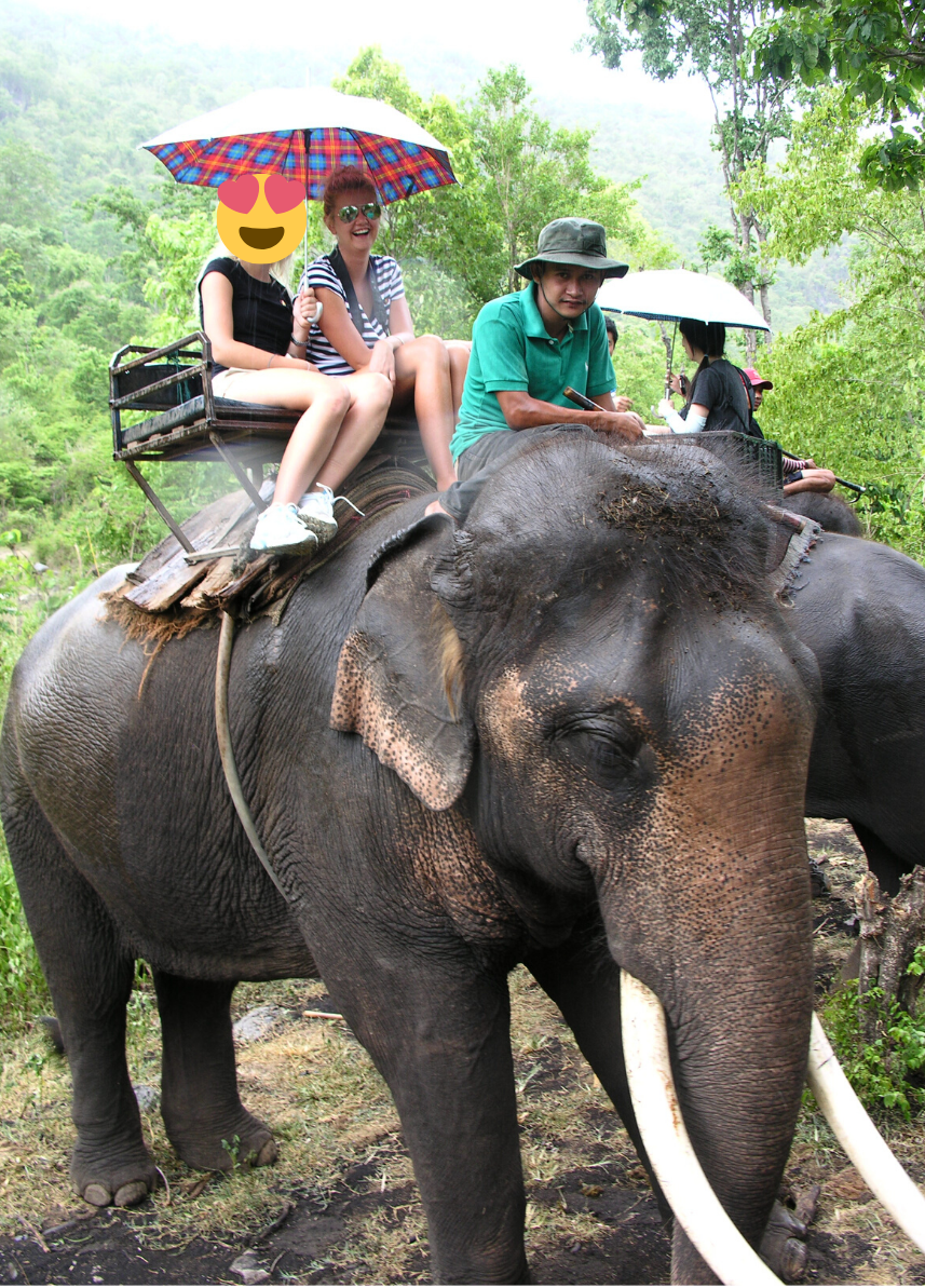 Riding an elephant in Thailand in 2010. I was contributing to unethical animal tourism without even realising it.