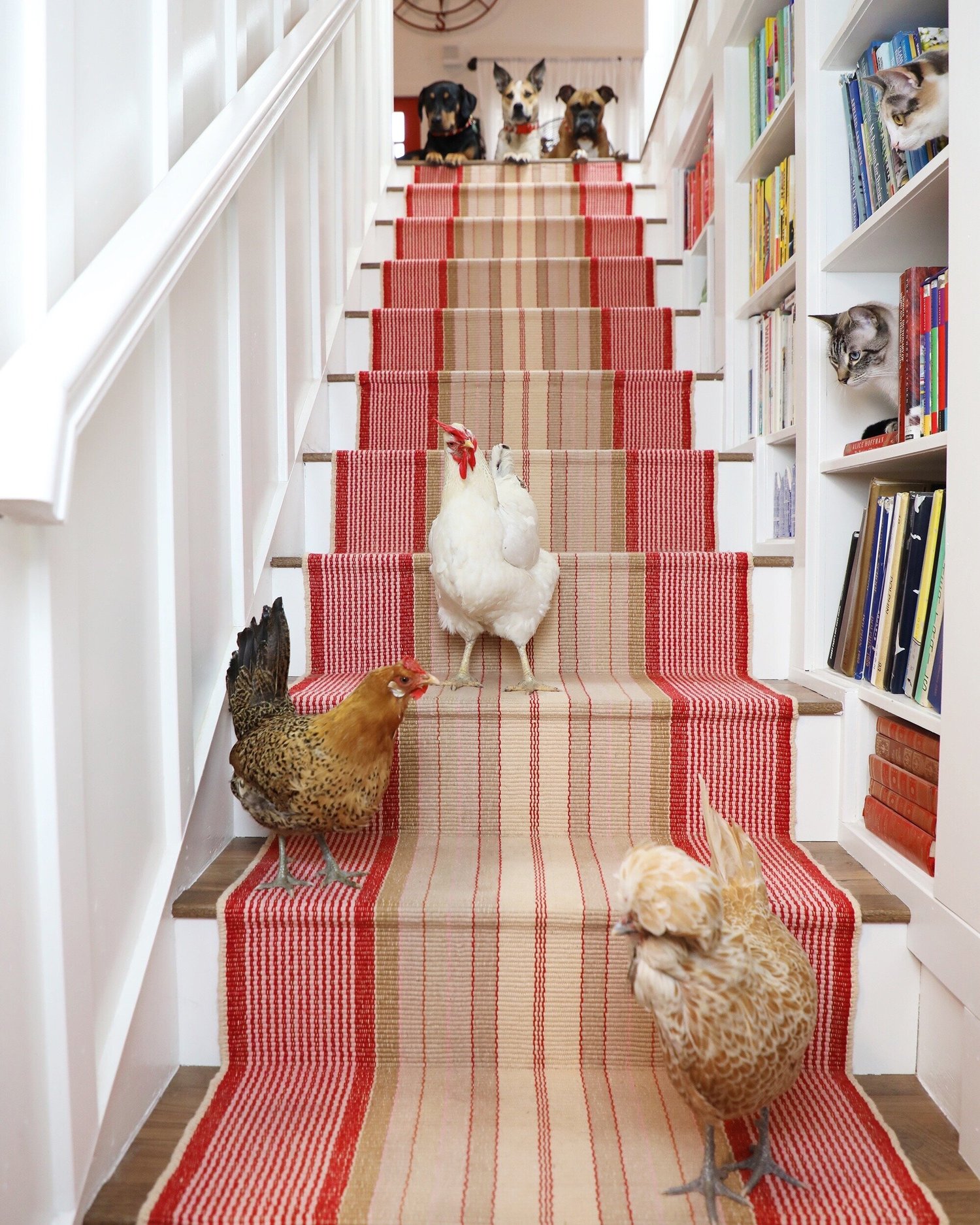 How to install a carpet runner on stairs - Cuckoo4Design