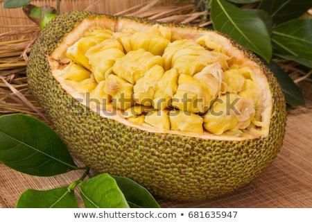 fresh-ripe-jackfruit-sweet-segment-450w-681635947