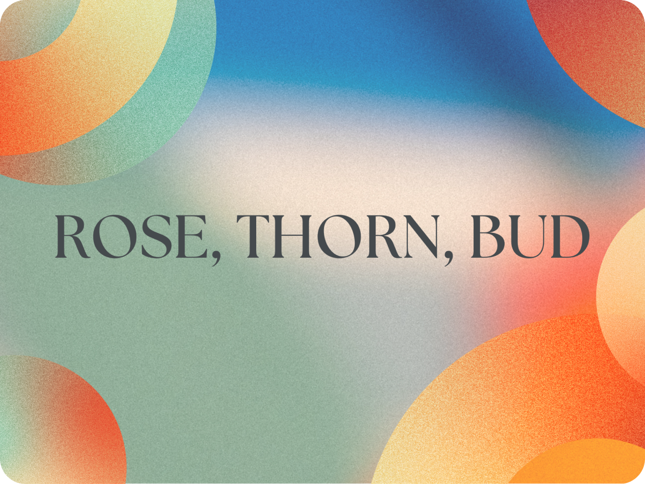 Rose Thorn Bud Icebreaker Examples