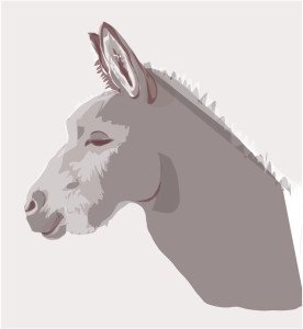 donkey-last