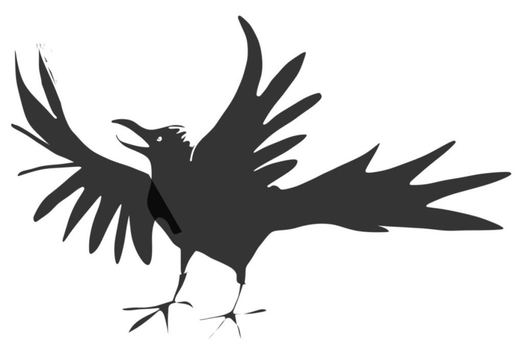 crow2