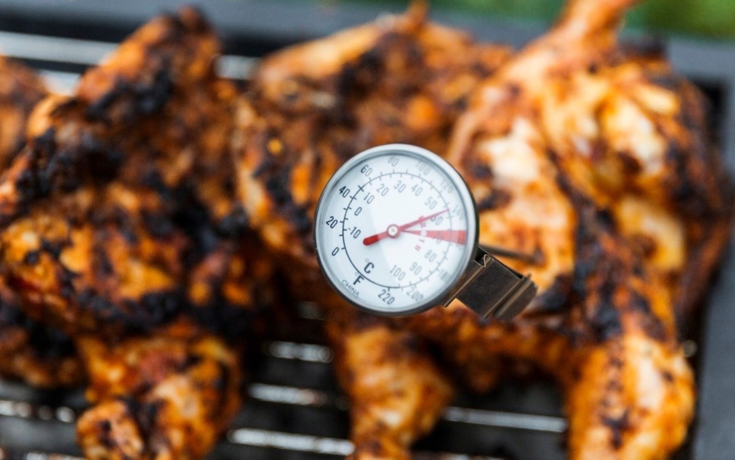 Meat Science 102: How to Cook Safely with a Thermometer