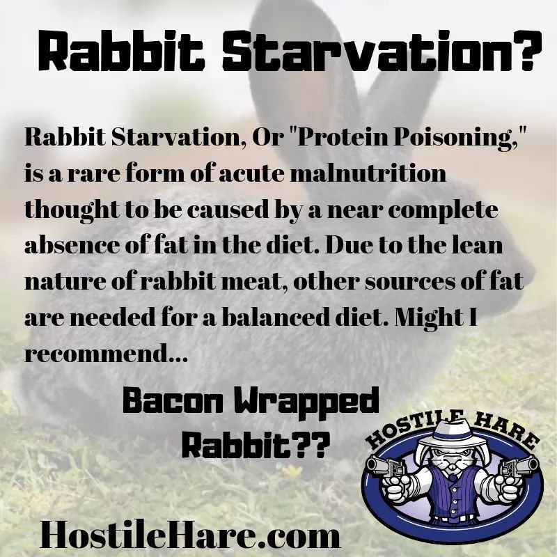 Rabbit Starvation