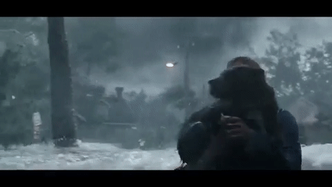 Clip from Crawl showing a hurricane