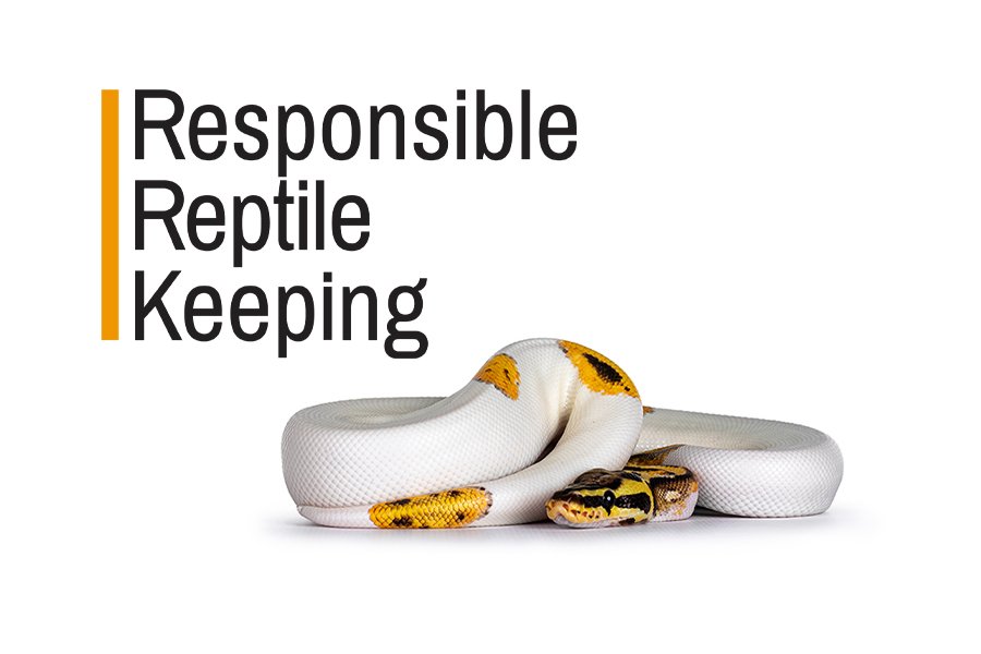 responsiblereptilekeeping.org