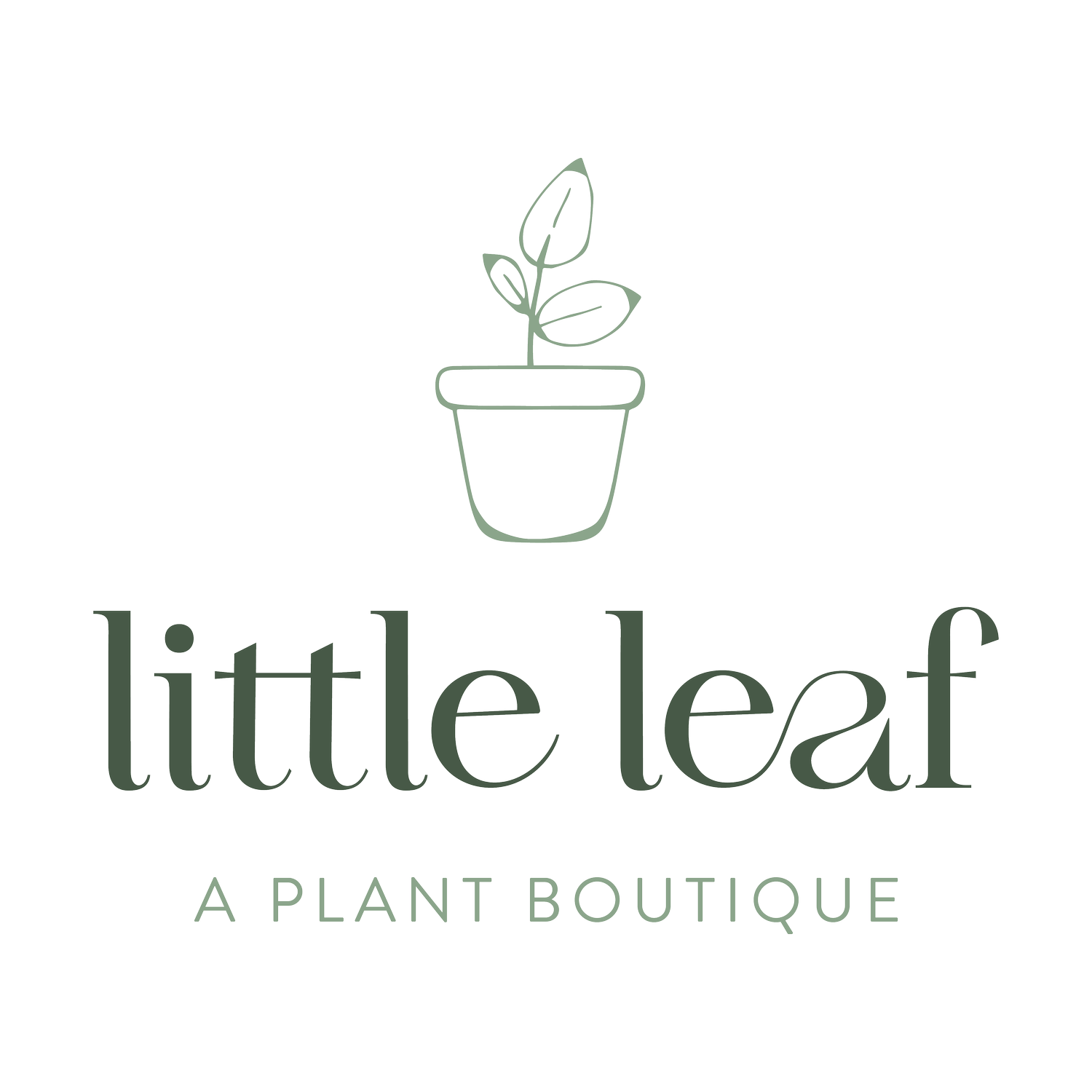 Little Leaf Plant Boutique
