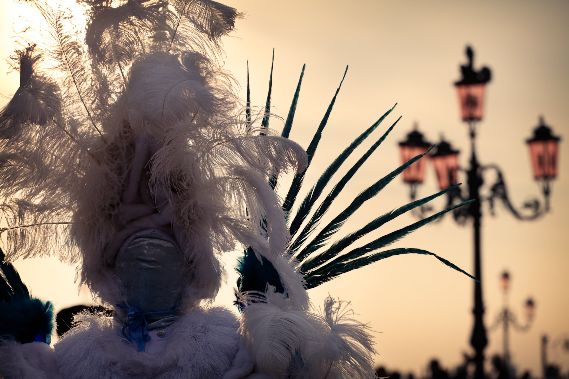 Photograph of a carnival costume in Venice from behind against the sun