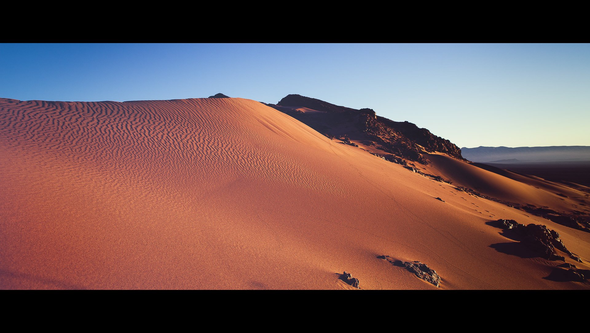 A desert dune lit by early sunrise light