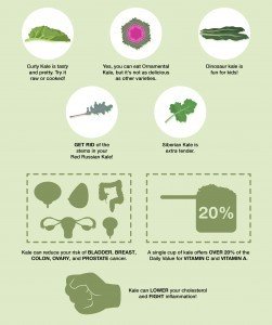 Kale Infographic