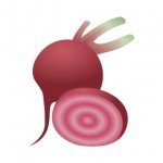 Candy Cane Beet