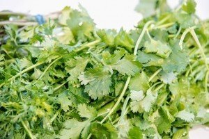 Cilantro is an Aromatic!