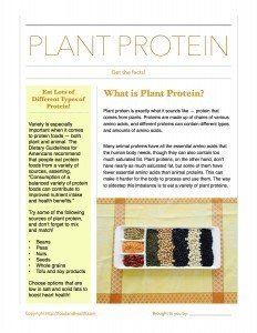 Plant Protein Factsheet