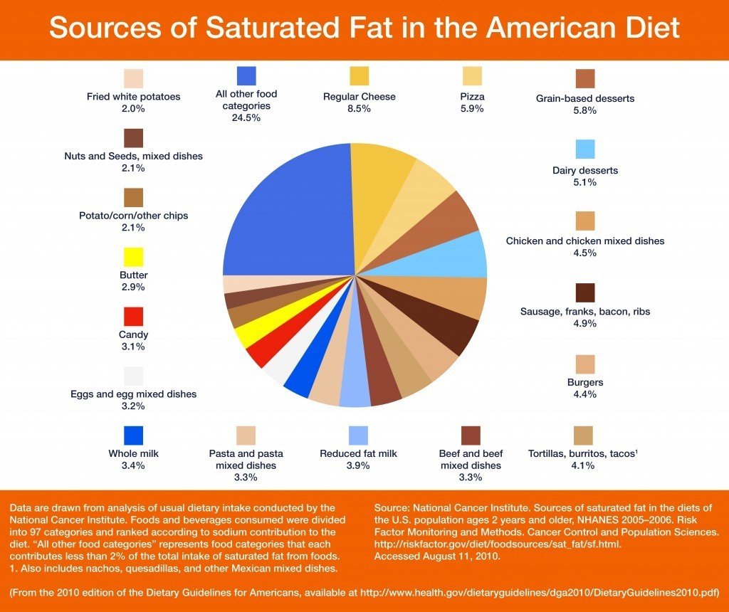 Saturated Fat Sources