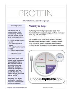 MyPlate Protein Overview