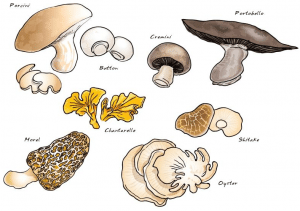 Try different varieties of mushrooms!