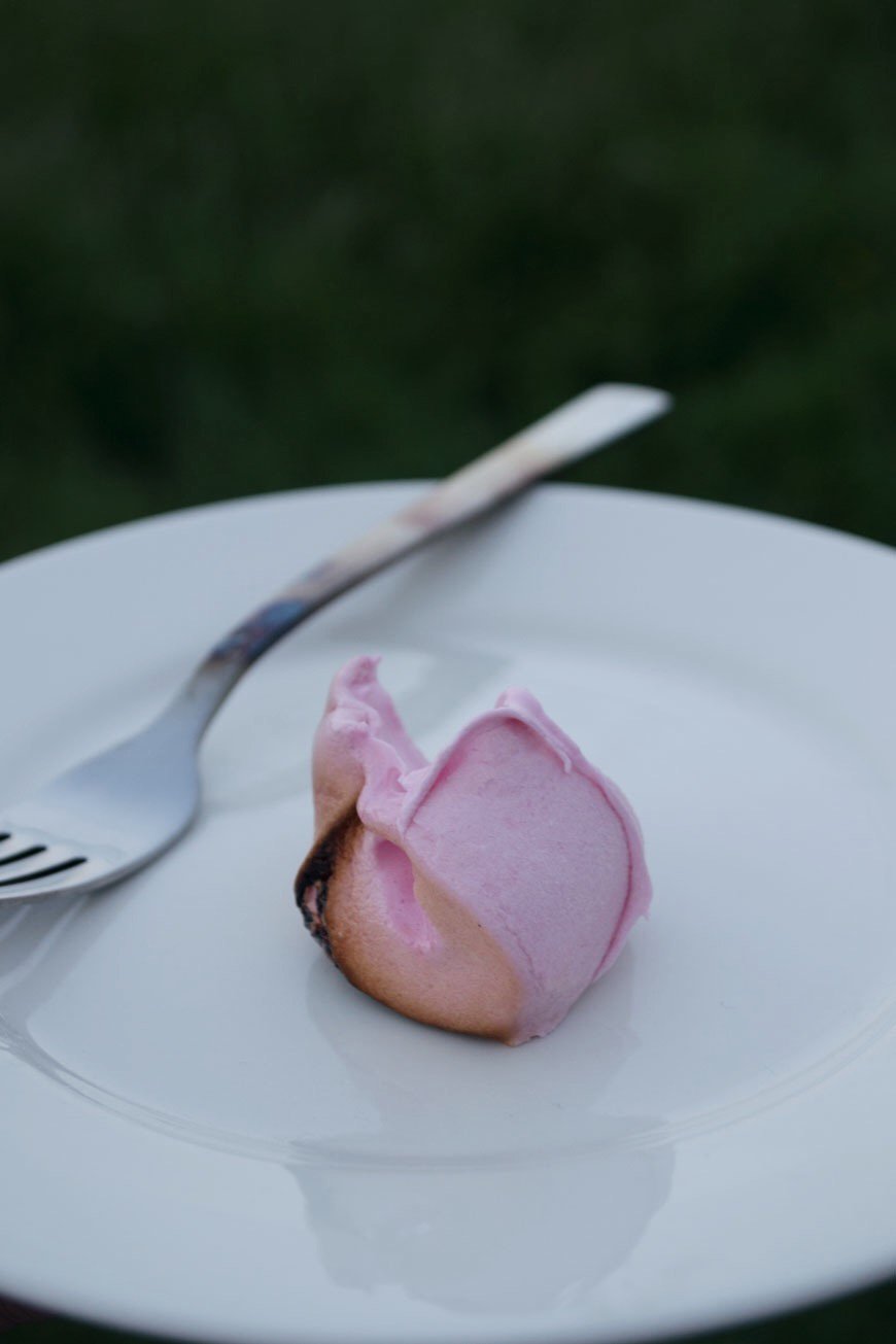 A perfectly toasted, gooey pink marshmallow on a white plate. 