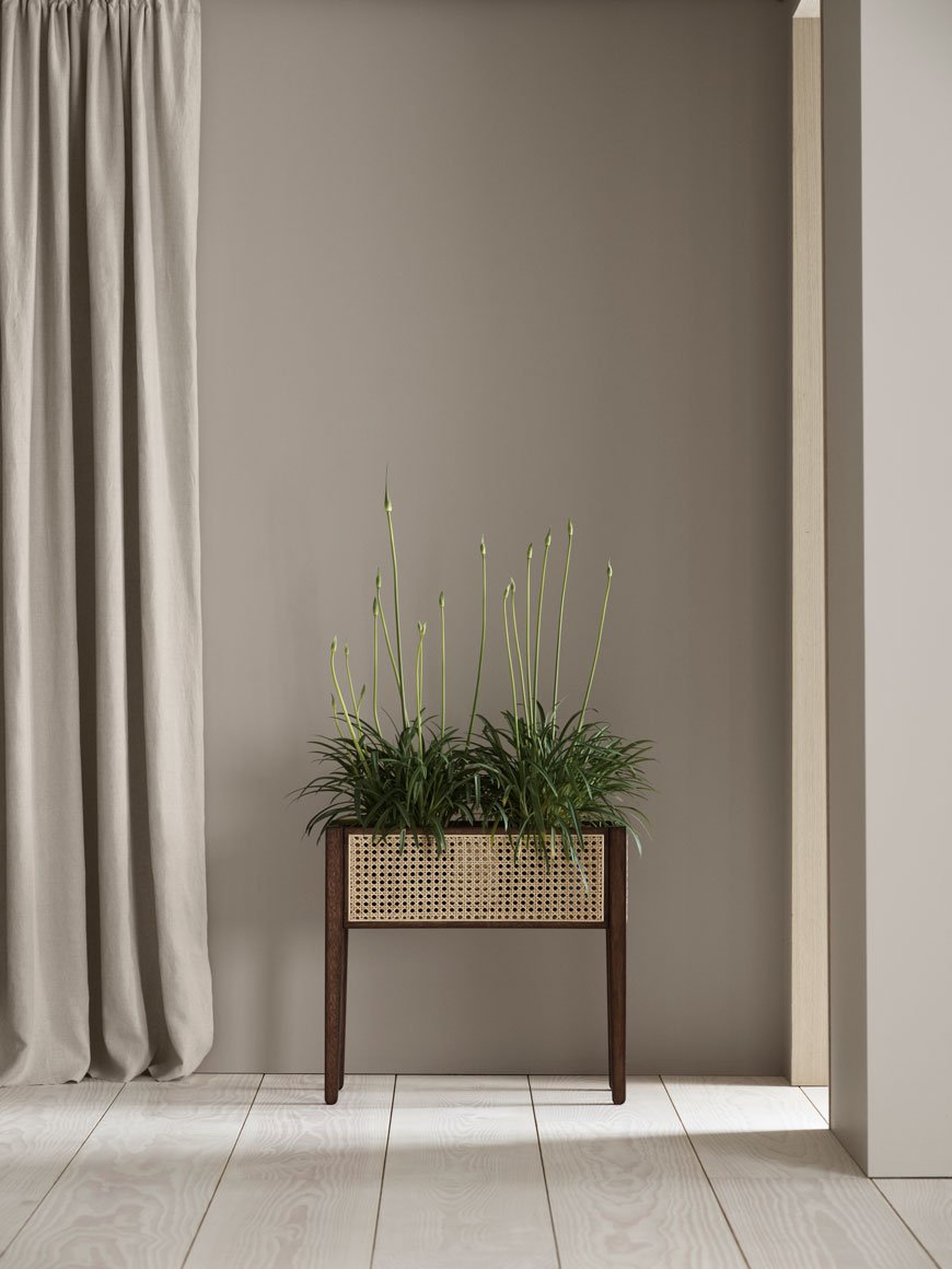 A timeless rattan and dark wood planter filled with Agapanthus in a soft beige Japanordic hallway.