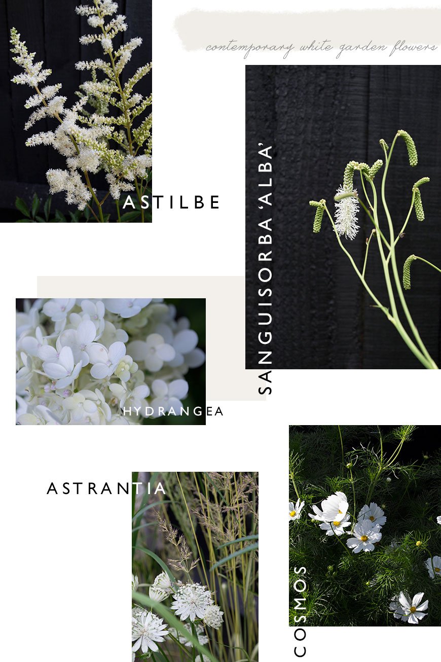 5 white flowers for a contemporary white garden. 