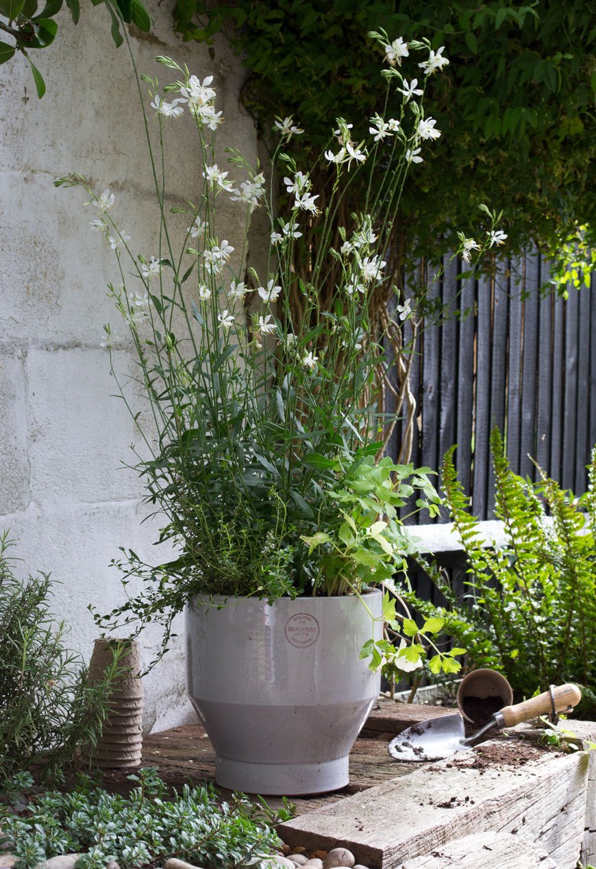 Mixing herbs into potted flowers shows how to make the garden feel like an extension of your home. 