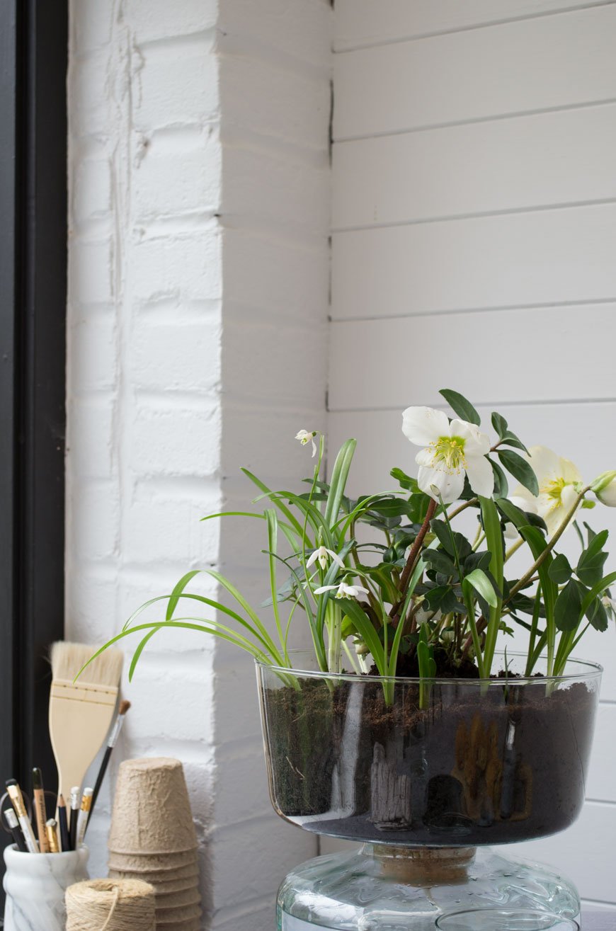White Hellebores and snowdrops bringing spring to a white Scandinavian sunroom, planted in an LSA Canopy collection planter. 