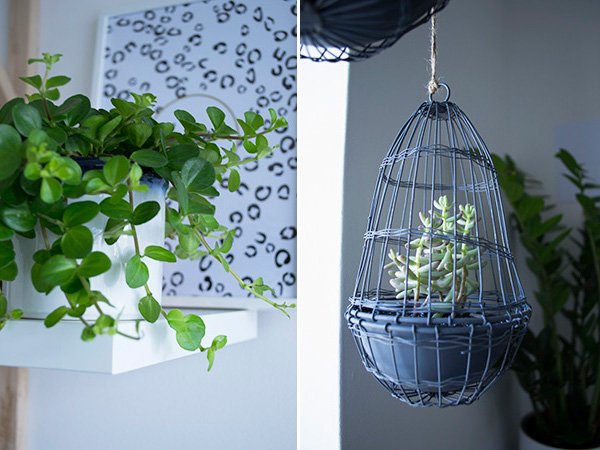 Hanging wire cloche planters in my minimal workspace home office