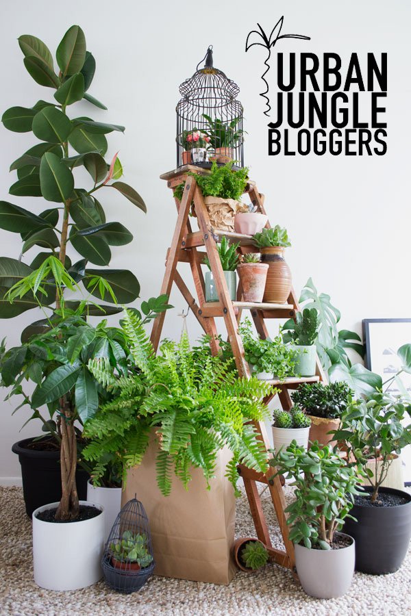 Urban-Jungle-Bloggers-Plant-Gang2.2