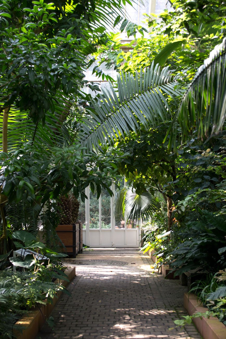 Looking down a tropical plant filled path through white glass doors into the next glasshouse in the botanical gardens Meise