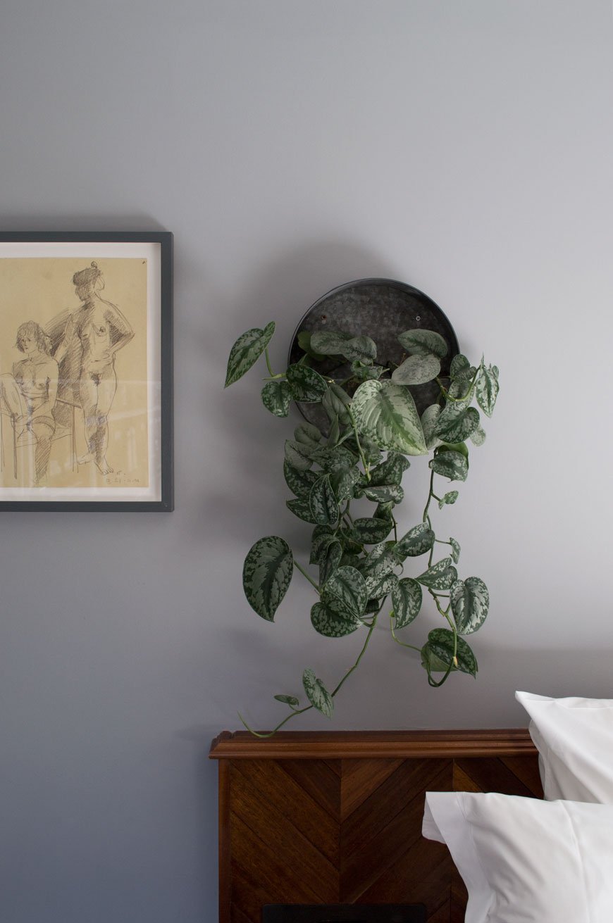 Trailing Pothos wall plants and unique pieces of art on the grey walls inside the rooms of The Pilgrm Hotel