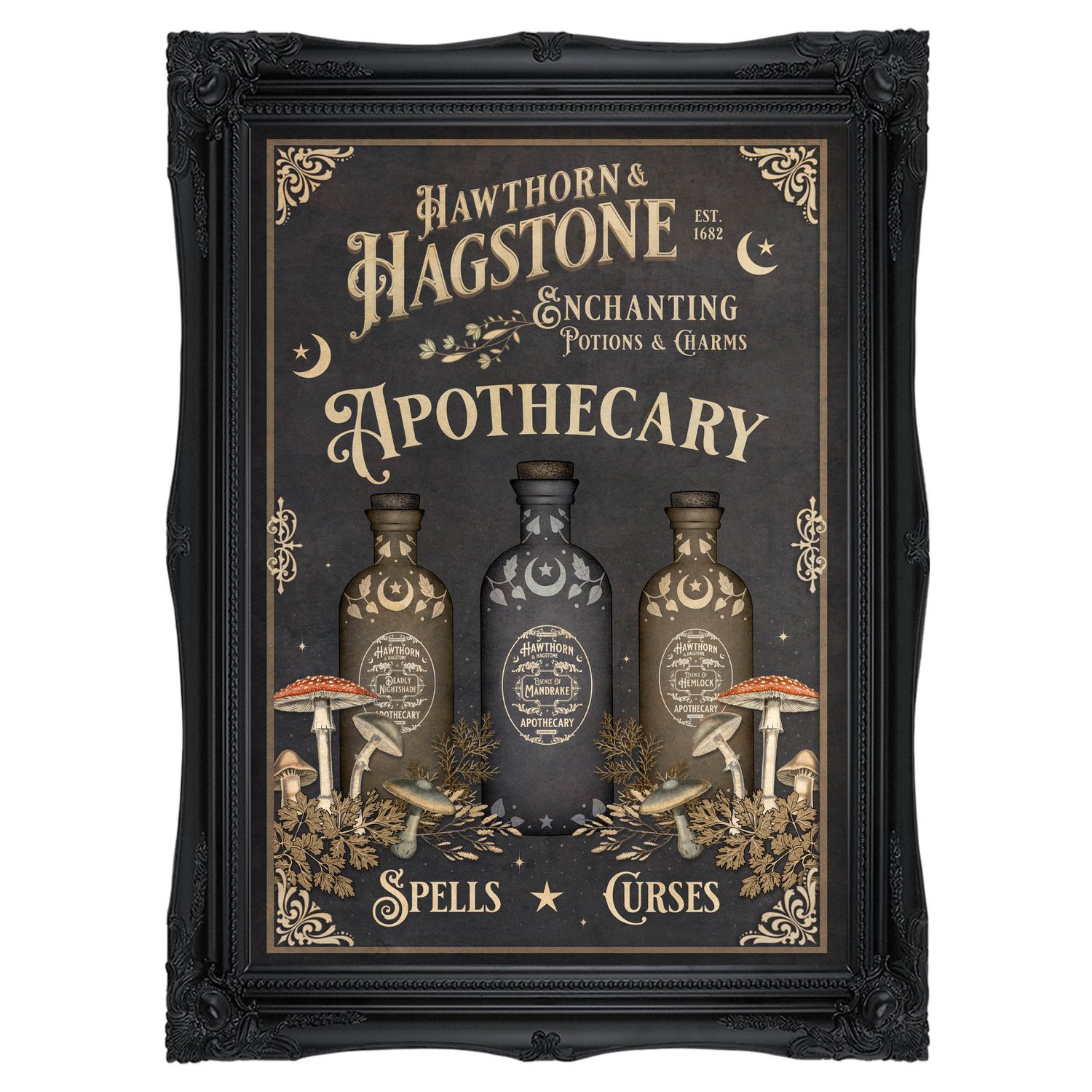 Vintage apothecary sign - Hawthorn & Hagstone with apothecary bottles and  wild mushrooms — Reliquary & Curios