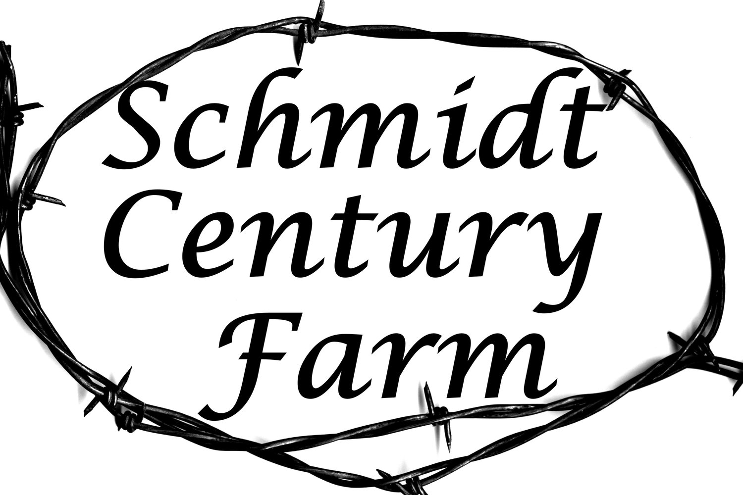 schmidtcenturyfarm.com