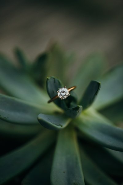 Sarah D'Ambra Photography Outer Banks engagement session